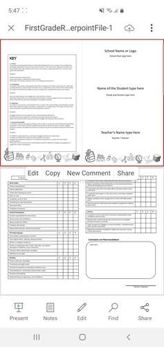 First Grade Report Card Editable (Powerpoint File)
