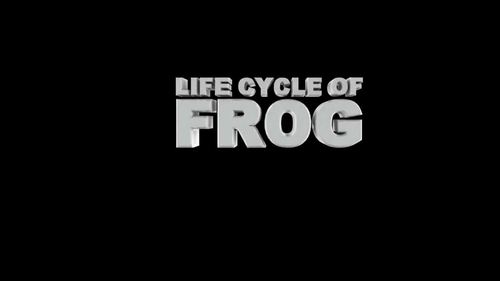 Preview of Life cycle of Frog - High quality HD Animated Video - eLearning