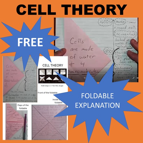 Preview of Cell Theory and Cells are made of (macromolecules, diet) Foldable VIDEO