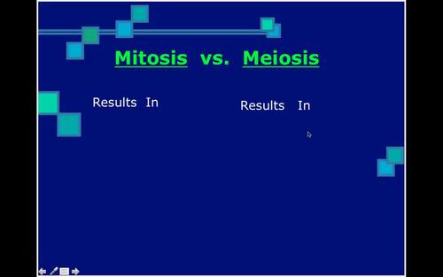 Preview of Biology Lecture Video/Meiosis/Flipped Classroom/Edpuzzle Ready