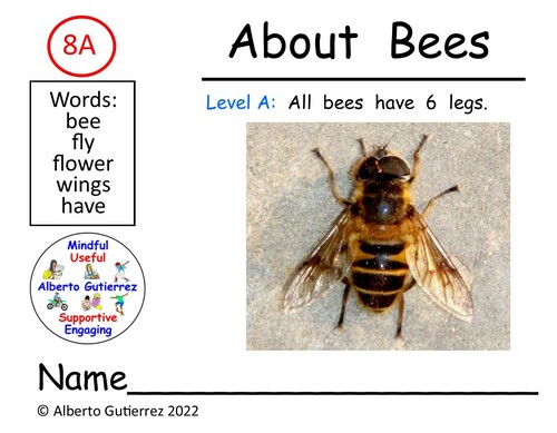 Preview of Video: About Bees #8A