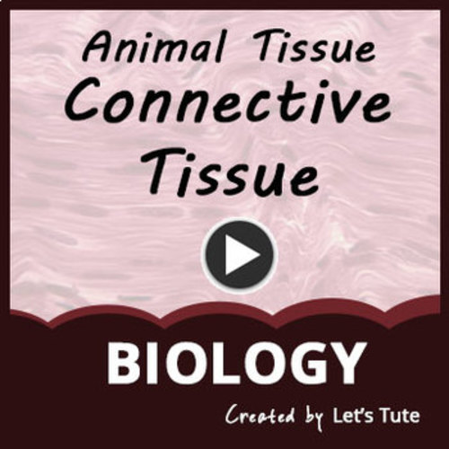 Animal Tissues- Connective Tissue - Biology (Science) by Letstute