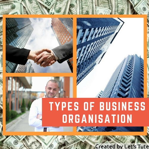 Accounts Types Of Business Organizations Sole Trading