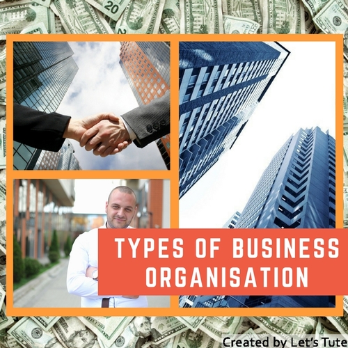 Preview of Accounts  Types of Business Organizations - Sole trading,Partnership & Company