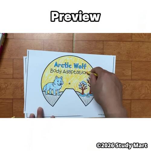 Arctic Wolf Adaptations Spinner | Arctic Animal Science Craft by Study Mart