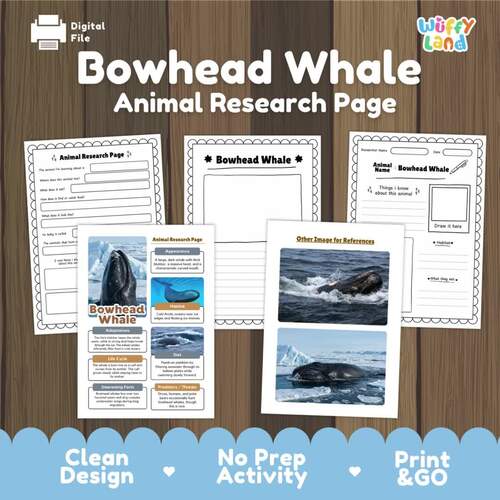 Bowhead Whale Animal Research Project | Arctic Marine Biology Science ...