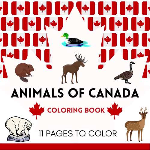 Animals of Canada Coloring Book Canada Day Activities 11 Pages to Color