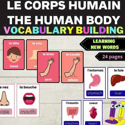 LE CORPS HUMAIN - THE HUMAN BODY / FLASHCARDS by The Teaching Resource Shop