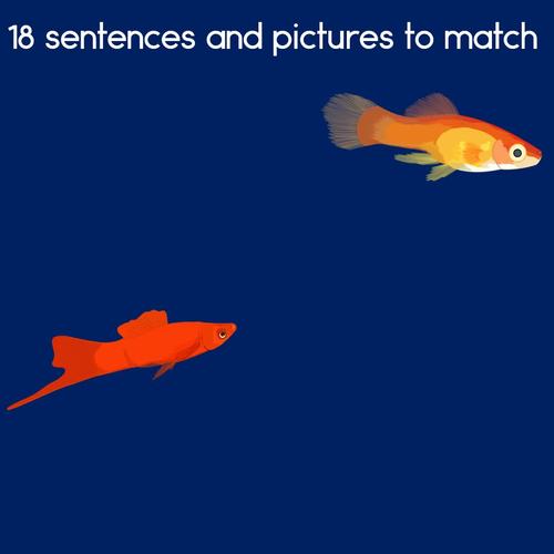 Pet Fish Matching Picture to Sentence Reading Comprehension and Writing