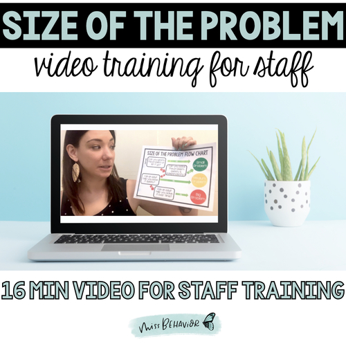 Preview of Size of the Problem Staff Training Video