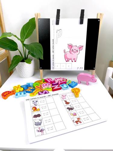 CVC Books x 2: CVC Phonics Letter Sounds & Digraphs for 3-5 yo+ | TPT