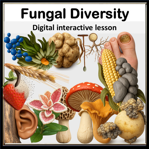 Preview of Fungal Systematics Interactive Assignment with Spores and Mind Maps