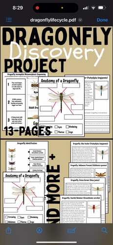 Dragonfly Life Cycle Worksheets & Activities | Sequencing, Anatomy ...