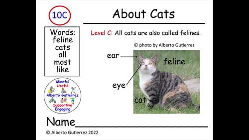 Computer Reading: About Cats #10C