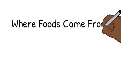Preview of Where Foods Come From & Processed Foods, Video and Slides
