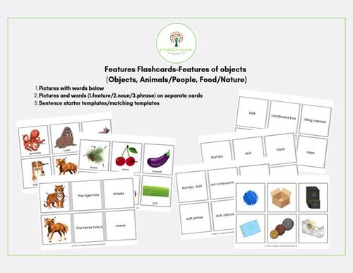 Features Flashcards (Animals, People, Food, Objects and Nature)-ABLLS-R ...