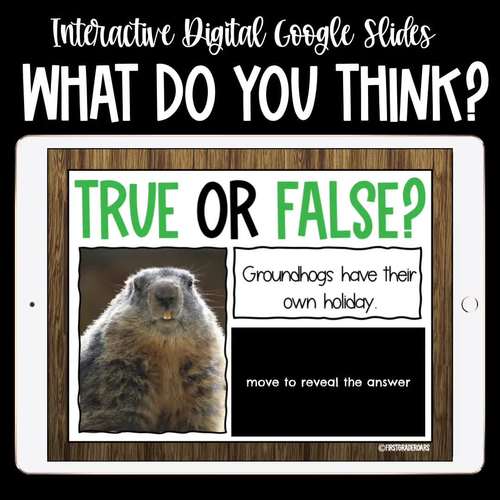 Groundhog Activity True or False Nonfiction Interactive Google Slides