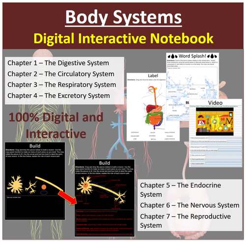 Body Systems - Digital Interactive Notebook Bundle | 45 Engaging Activities