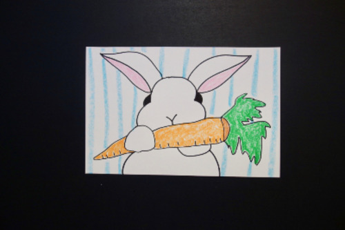 Preview of Let's Draw a Bunny with a Carrot!