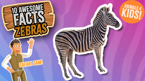 Preview of 10 Awesome Facts about Zebras
