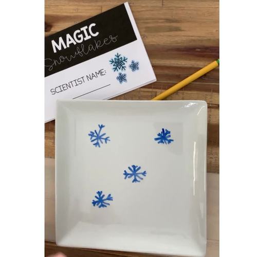 Snowflake Science Experiment - Easy Science Lesson | Scientific Method