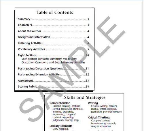 Chasing Vermeer Novel Units® Teacher Guide Novel Study | TPT