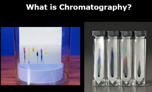 Preview of Chromatography Lab