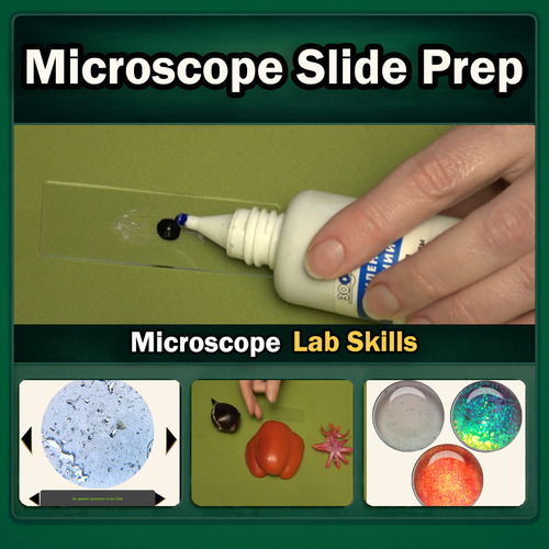 Preview of Microscopy Lab Staining and Thin Sections Science Activity