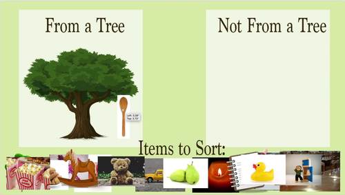 Tree Sorting Game by Do Try This at Home | Teachers Pay Teachers