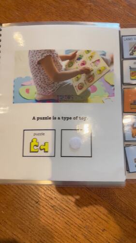 Let's Learn Categories (with Unity symbols for LAMP WFL) by Life Skills ...