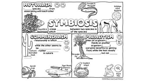 Symbiosis Doodle Notes & Quiz + PP | NGSS Middle and High School Life ...