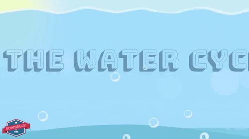 Preview of The Water Cycle Student Information Video