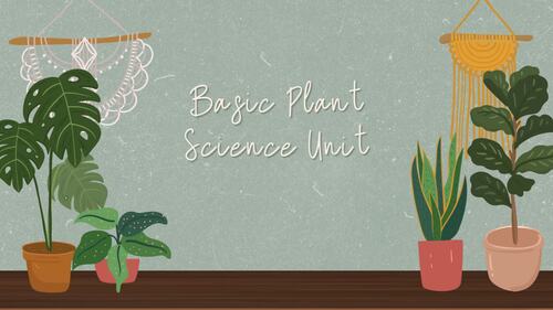 Preview of Plant Anatomy and Classes Video Slides (updated to fix missing slide)