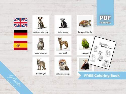 ENDANGERED ANIMALS • 24 Montessori Flash Cards • German English Spanish
