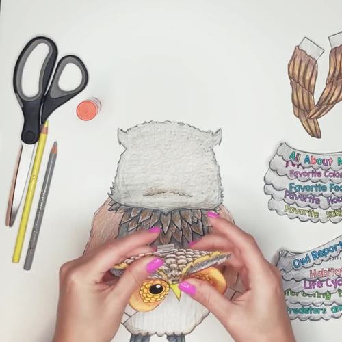 All About Me 3D Owl and Owl Report by Meghan Snable TpT