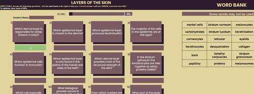 Integumentary System Skin Layers by Abaco Education Zone | TPT