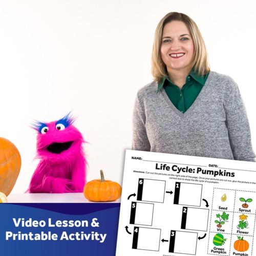 Preview of Life Cycle Of A Pumpkin - Video Lesson & Activity Download