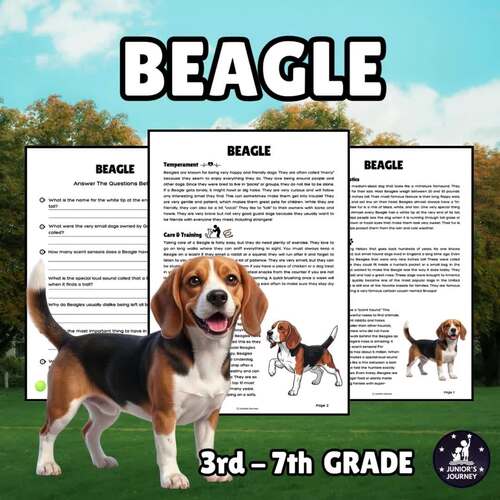 Beagle Reading Comprehension | Informational Worksheet | Dog Unit