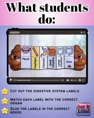 Digestive System Cut and Paste Activity|Human Body Worksheet for Kids ...