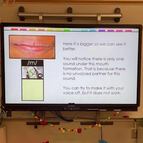 Science of Reading Alphabet Activities with Mouth Photos Teaching ...