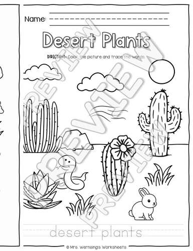 Types of Plants Activities - KINDERGARTEN SCIENCE by Mrs Wernsings ...