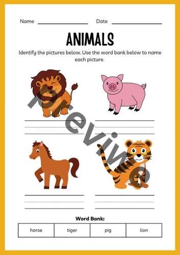 Animal Learning Adventure: All-in-One Activities (Pre-K). (Grade 2)
