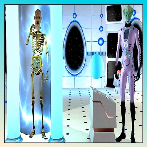 Preview of Human Anatomy - Video Story