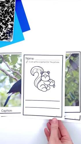 Nonfiction Text Features and Animal Research Activities | Informational Text
