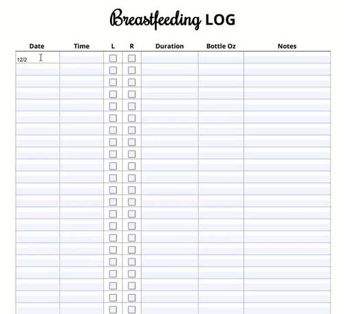 Breastfeeding Log Printable PDF by Mom Money Map TPT
