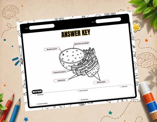 The Endoplasmic Reticulum Activities | Labeling, Word Search, Coloring ...