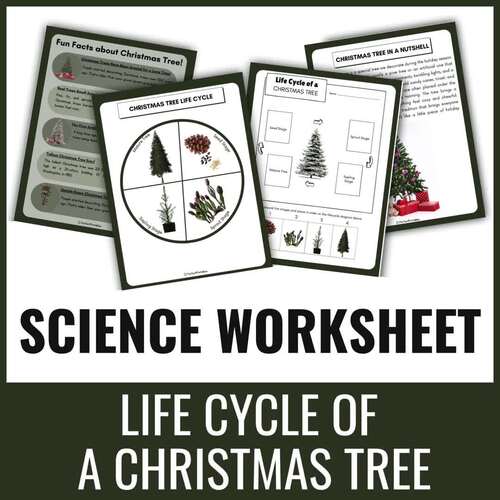 Life Cycle of a Christmas Tree Worksheet- Holiday Plant Science Unit Study