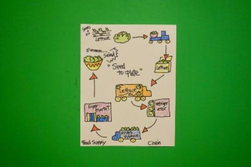 Preview of Let's Draw a Food Supply Chain-Seed 2 Plate@