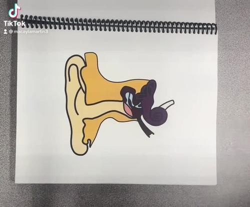 Self Advocacy Learning Binder for Deaf and Hard of Hearing Students.