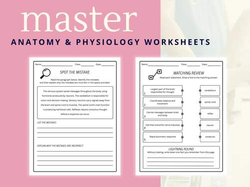 Anatomy Body Systems Activity Pack + Answer Key | Control & Communication Bundle